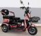 Электротрицикл E-TRIKE TRANSFORMER PRO 2+1 650w